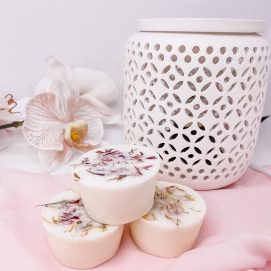 Ceramic Electric Melt Warmer 1