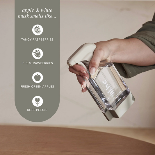 Alive Body All Purpose Cleaning Kit