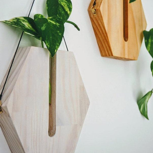 Timber Honeycomb Shape Wall Propagation Planter