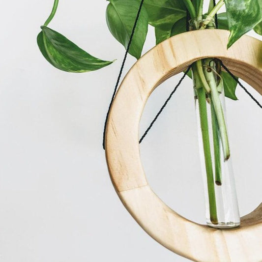 Timber Wall Propagation Planter