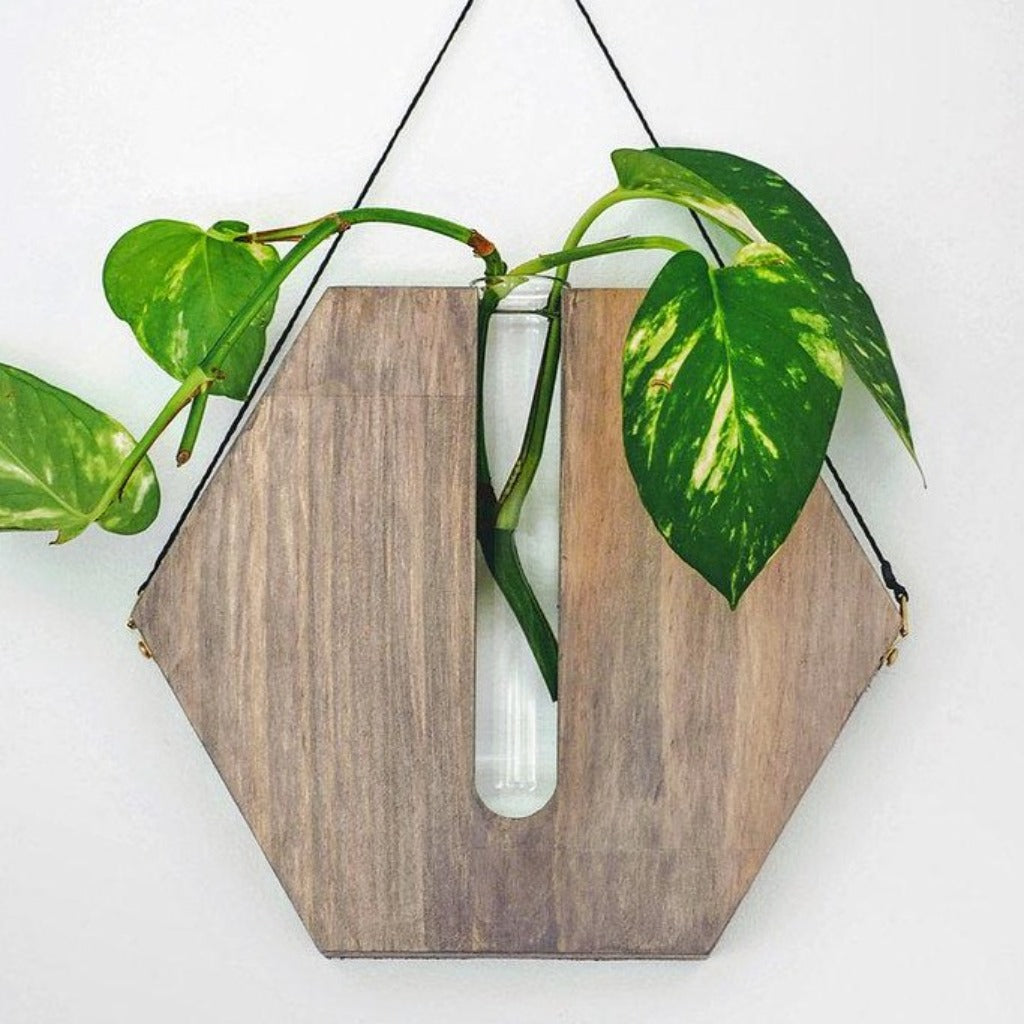 Timber Honeycomb Shape Wall Propagation Planter