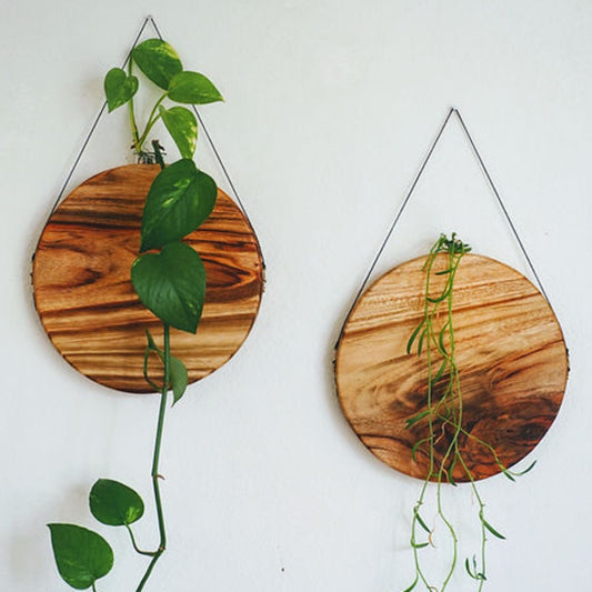 The Sun Wall Planter