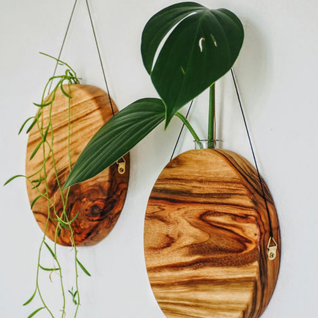 The Sun Wall Planter