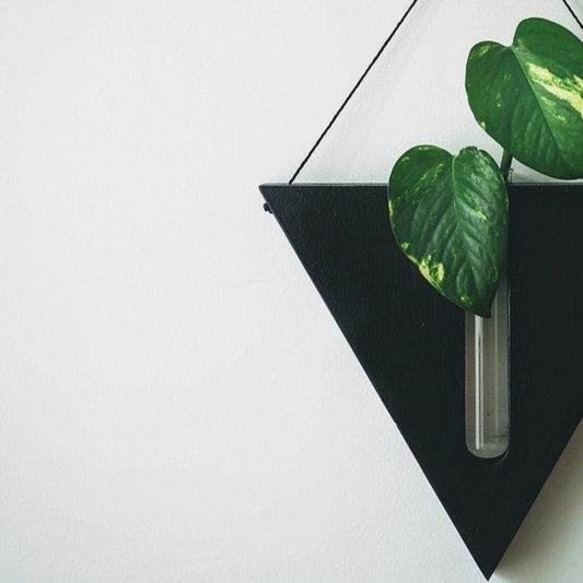 Timber Wall Propagation Planter