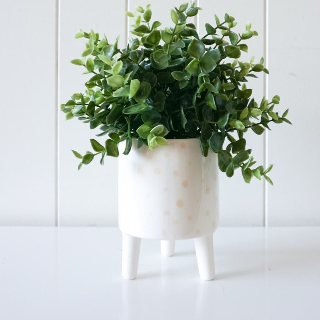 Polka Dot Planter