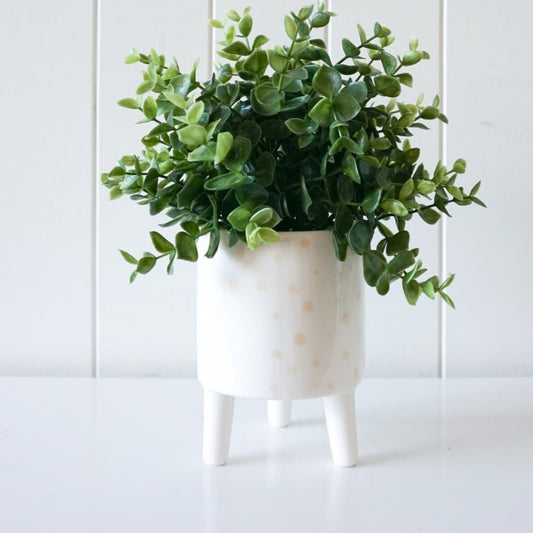 Polka Dot Planter