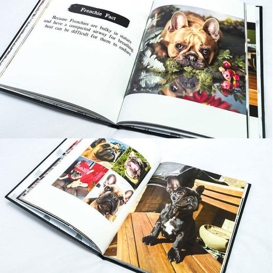 The Book of Frenchies | French Bulldog Coffee Table Book