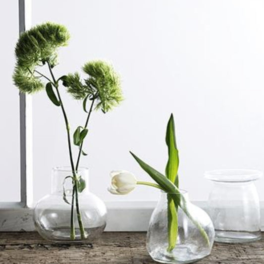 Bulb Vase Orb