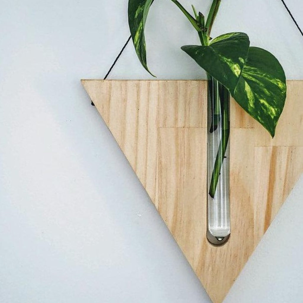 Timber Wall Propagation Planter