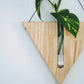 Timber Wall Propagation Planter