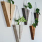Timber Wall Propagation Planter