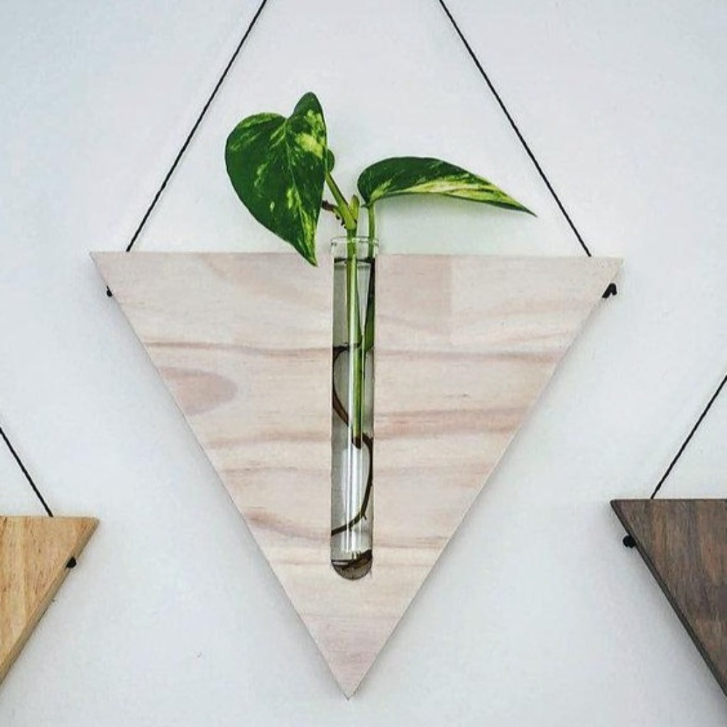 Timber Wall Propagation Planter