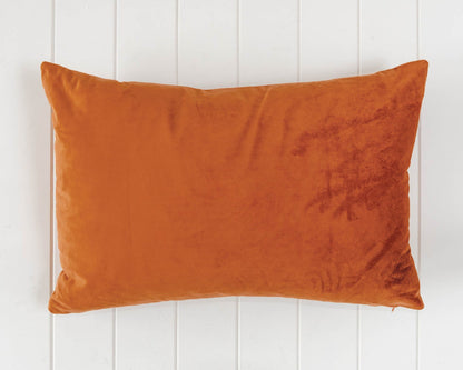 Rayell orange velvet cushion