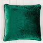 Velvet cushion with feather insert