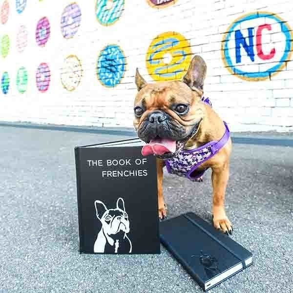 The Book of Frenchies